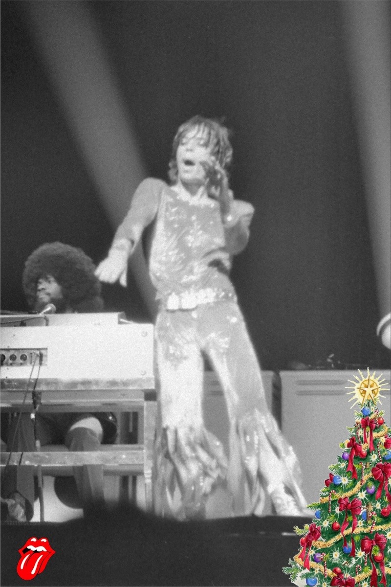 Mes photos : 1973 Forest National Stones10