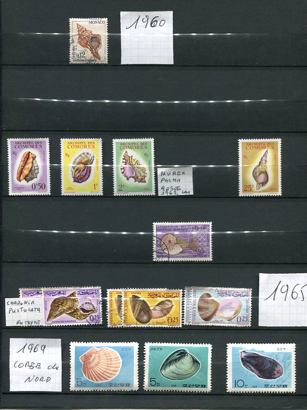 Les Timbres et les Coquillages Img28615