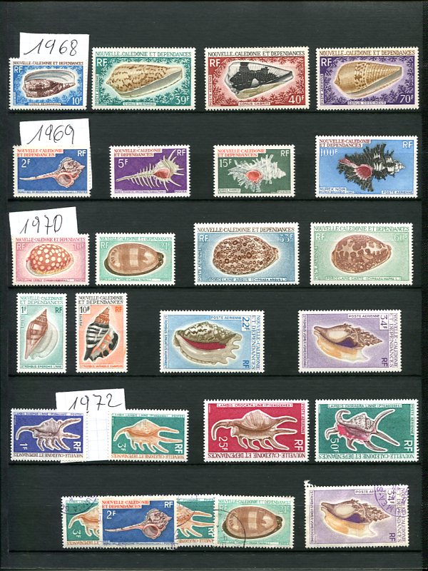 Les Timbres et les Coquillages Img28713