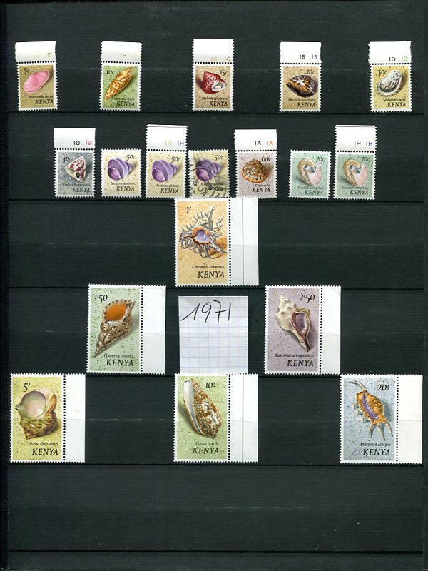 Les Timbres et les Coquillages Img29310