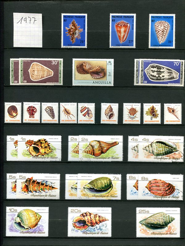 Les Timbres et les Coquillages Img30510