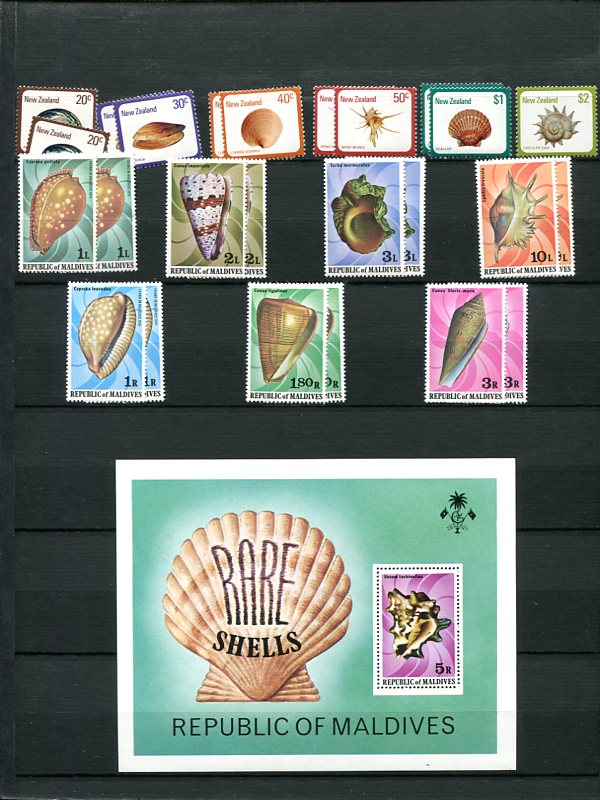 Les Timbres et les Coquillages Img30810