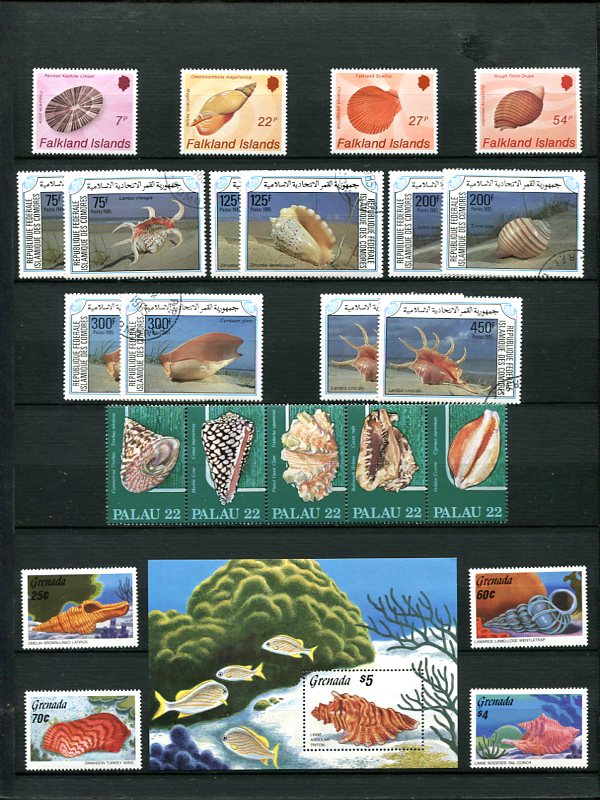 Les Timbres et les Coquillages Img31610