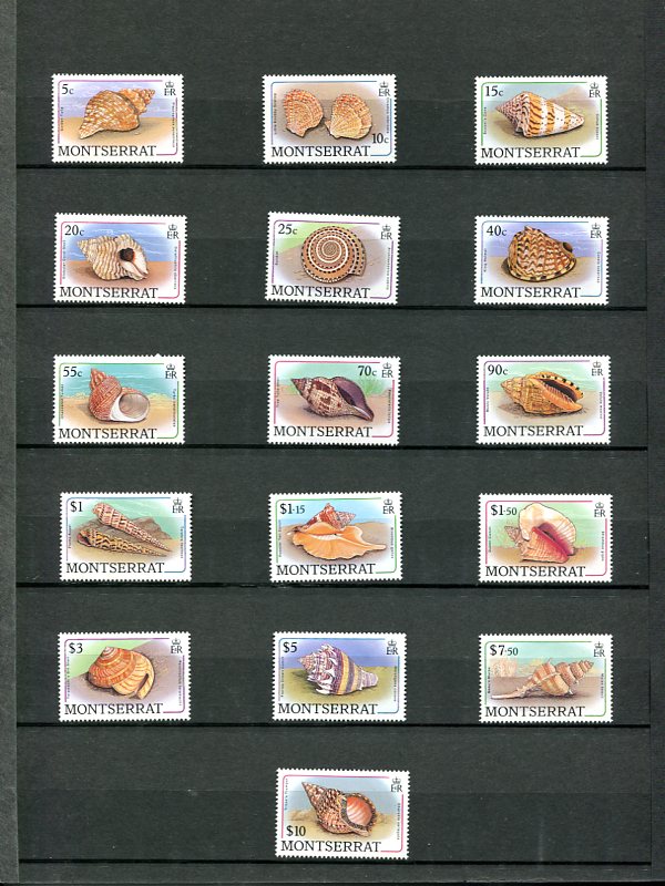 Les Timbres et les Coquillages Img32110