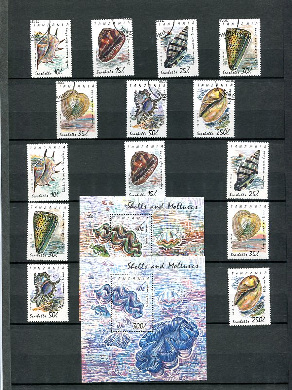 Les Timbres et les Coquillages Img32711