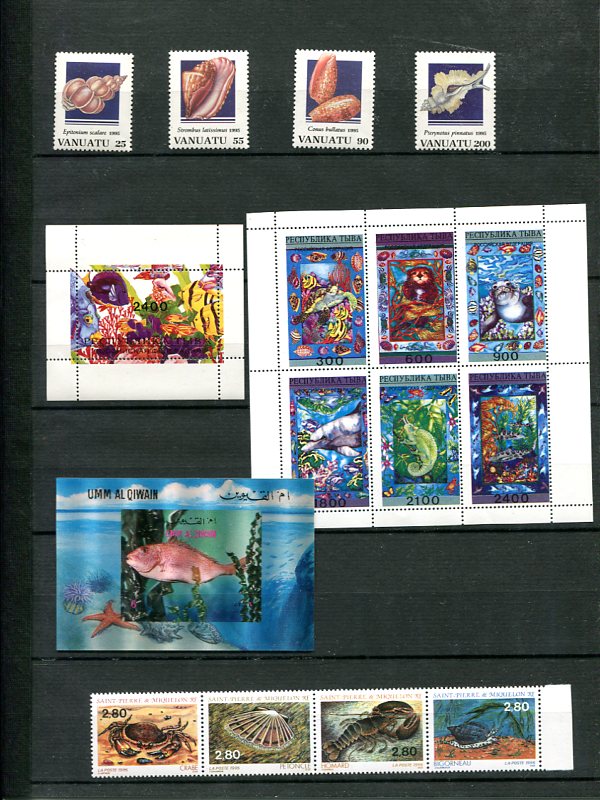 Les Timbres et les Coquillages Img33210