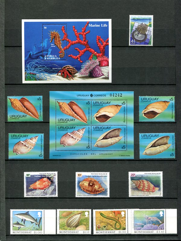 Les Timbres et les Coquillages Img33310