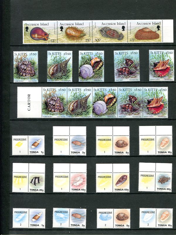 Les Timbres et les Coquillages Img33410