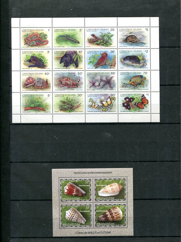 Les Timbres et les Coquillages - Page 2 Img34410