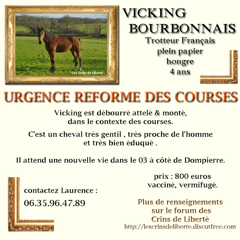 Vicking Bourbonnais, TF et megane (Mars 2013/2020)-Replacé chez Laetitia (06/22) Affich11