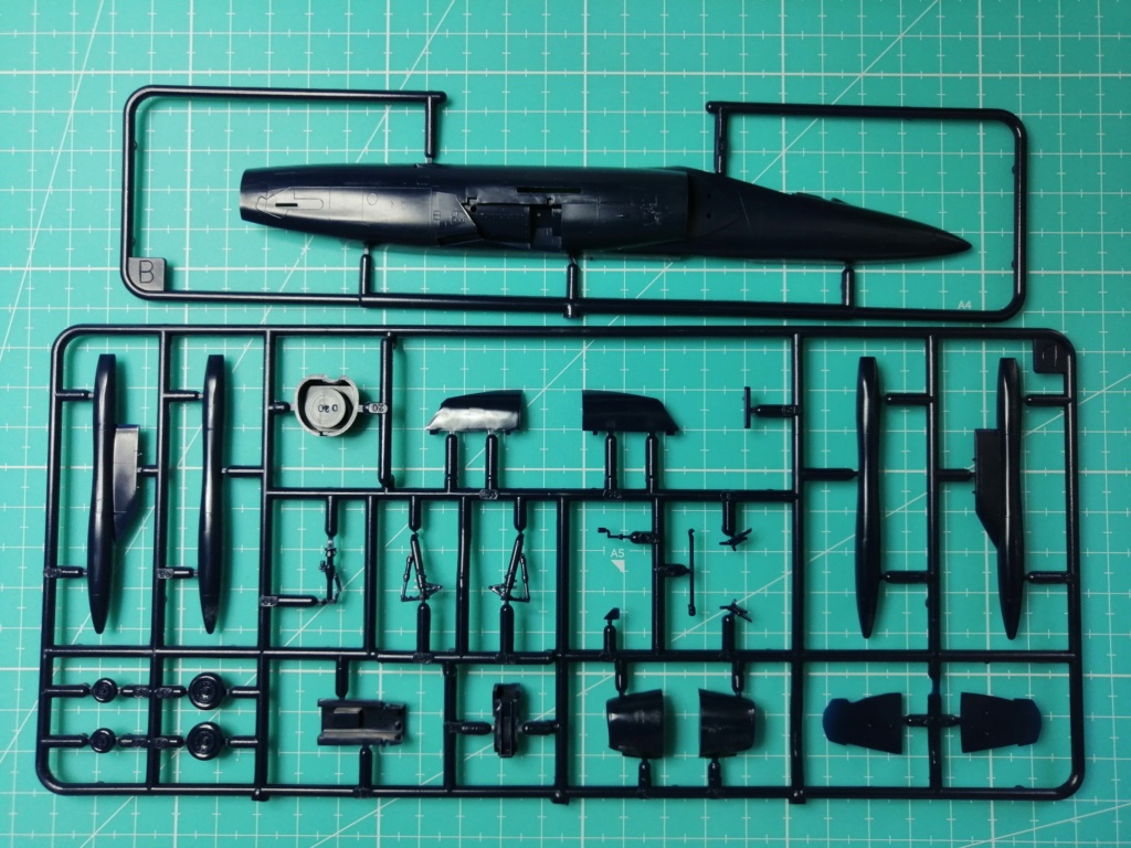 1/72 - GRUMMAN F11 TIGER - HASEGAWA - EN COURS Img_2523