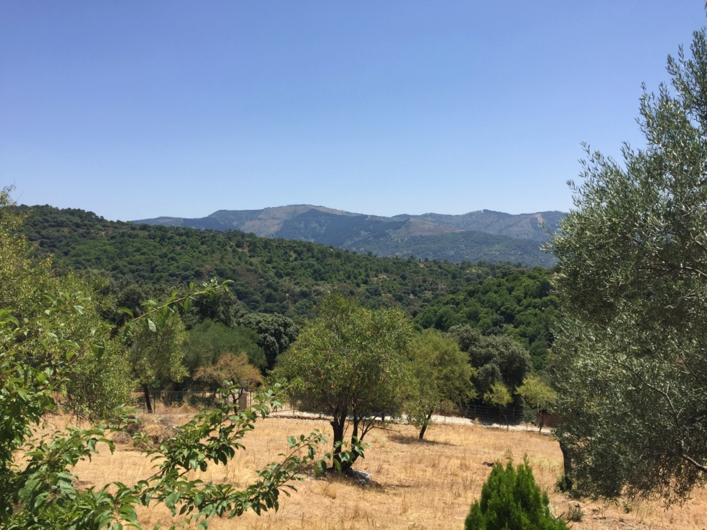 Du côté d'Alpandeire, Andalousie toujours Image10