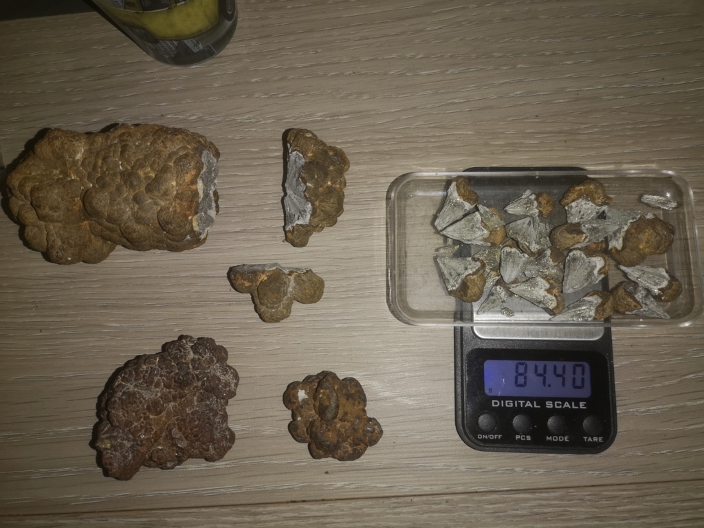 Identifications et estimations de 3 météorites  Img_2010