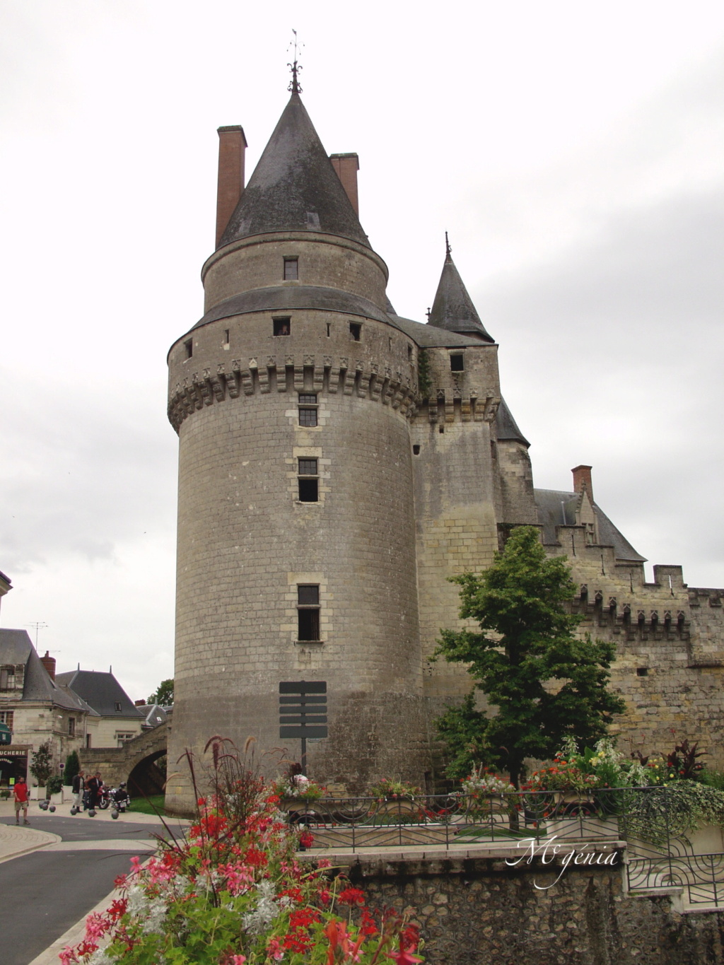 Les châteaux de France P8180810