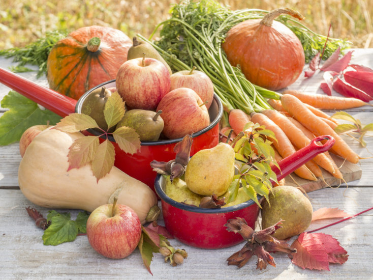 Votre marché de Novembre et vos recettes quotidiennes Panier10