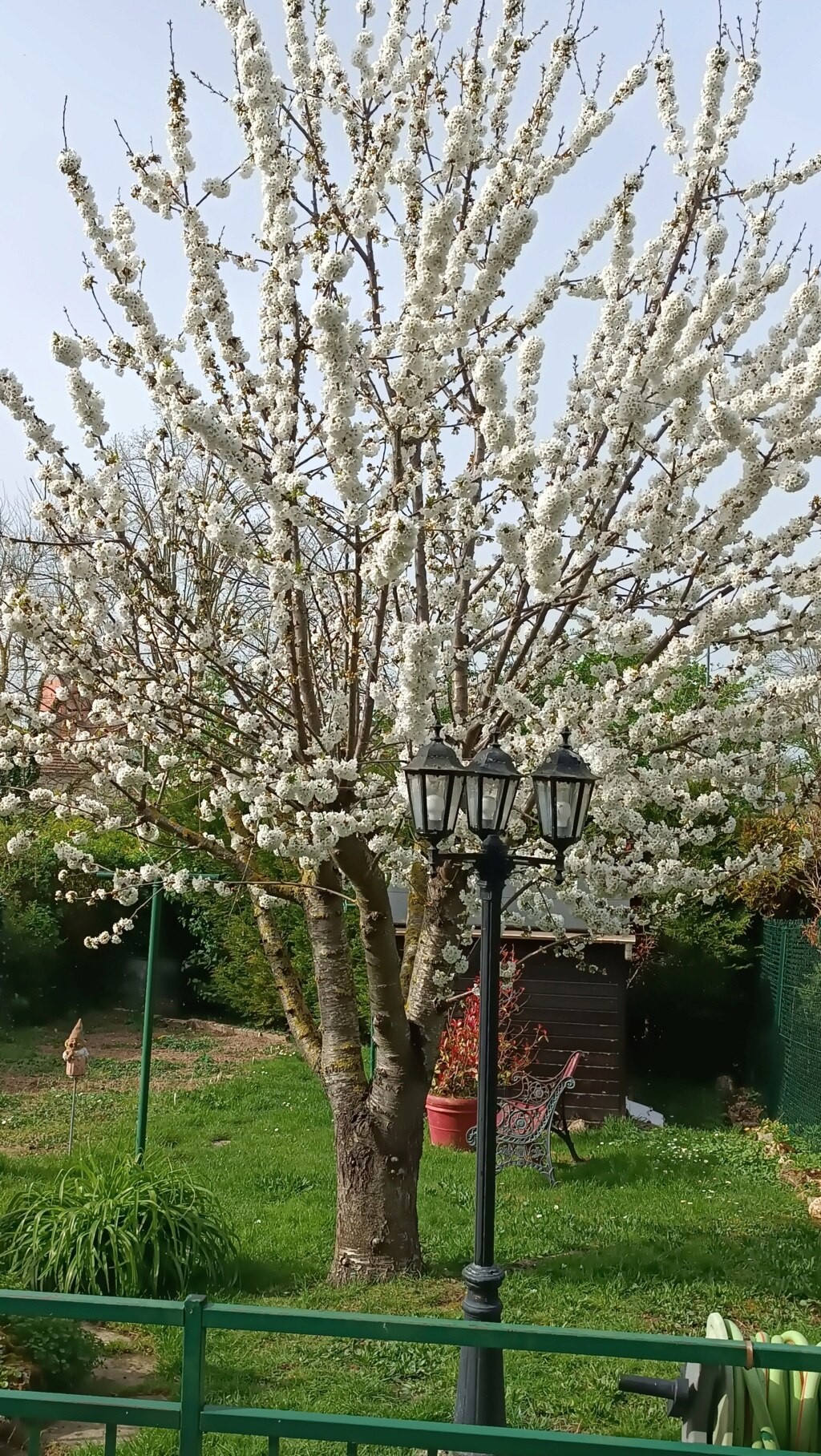 Bonjour du jour et météo locale - Page 6 17124710