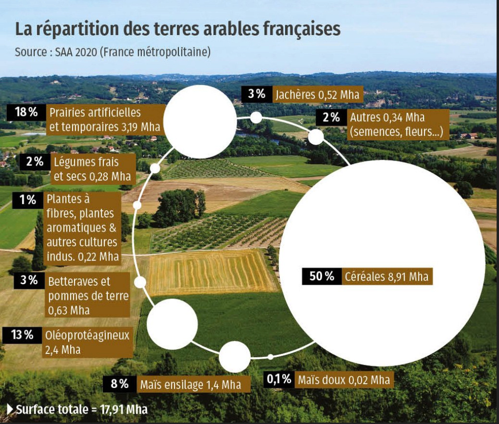 Vers une pénurie des matières premières - Page 11 Captu529