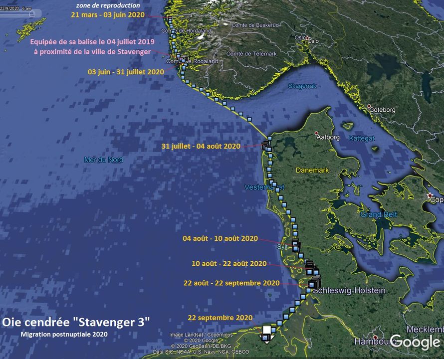 Des news de Stavenger 3  12015710