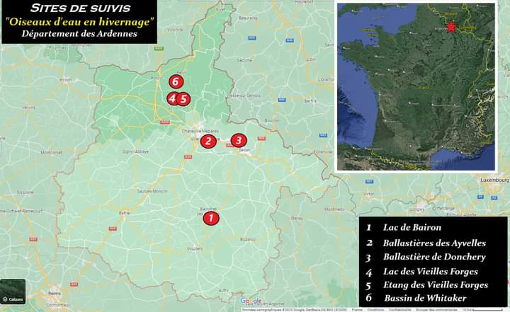 Résultat du comptage des oiseaux hivernants (sur 6 sites) des Ardennes  Fb_im865