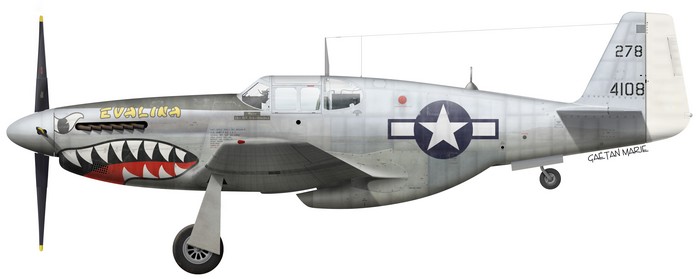 NORTH AMERICAN P-51 MUSTANG Us_p-511