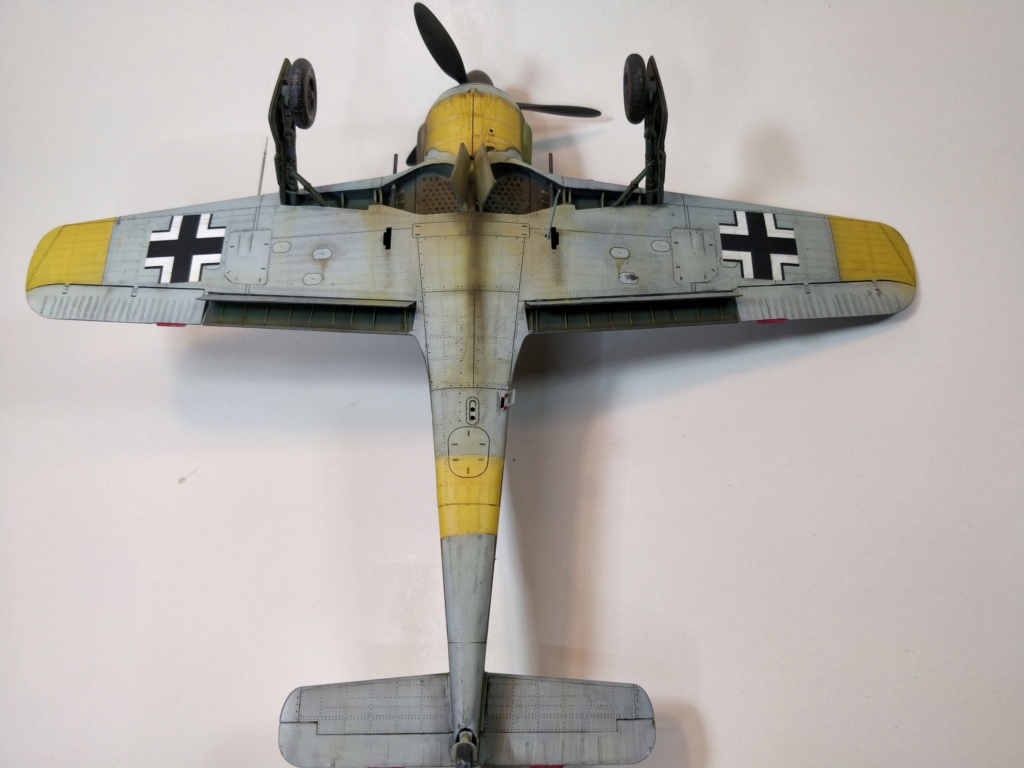 Fw-190 A5 - "yellow 8"- Eduard 1/48 Img_2031