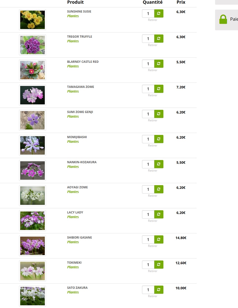 Achat groupé de Primula chez Barnhaven - Page 3 Barnha10