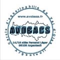 Apistogramma borelli Logo1-12