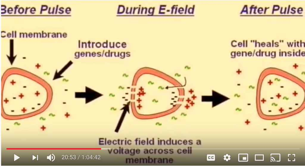 CoronaVirus and Forced Vaccination Manipulation - Page 2 Screen47