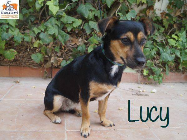 LUCY - NOIRE & FEU - ES (Sole) 40921010
