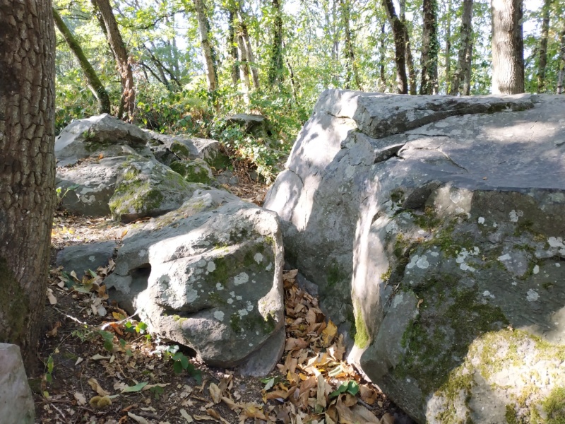 Sortie test du dolmen de la Bajoulière (49) Img_2020