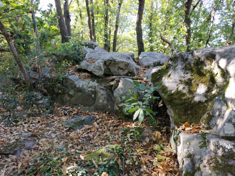 Sortie test du dolmen de la Bajoulière (49) Img_2021