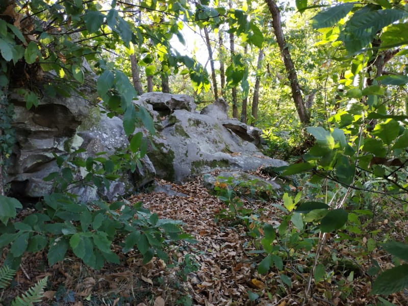 Sortie test du dolmen de la Bajoulière (49) Img_2022