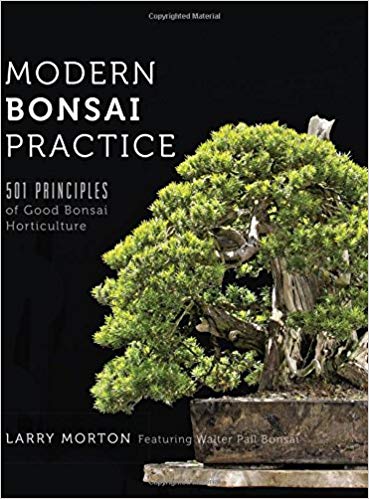 Libros de Bonsai 51tood10