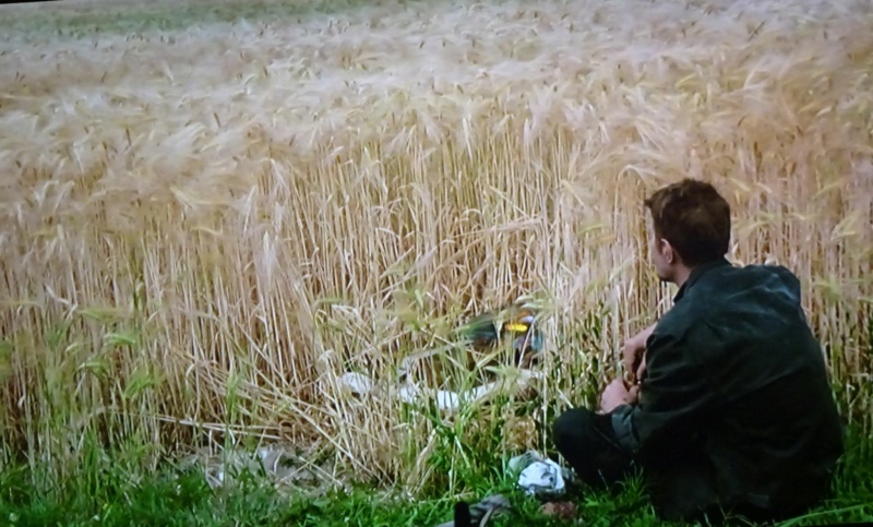 [FILM] Van Gogh (1991) Dsc01832