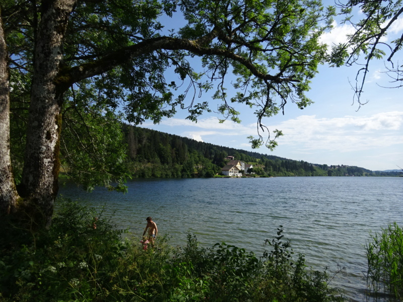 [WEEK-END] Le lac de l'Abbaye (39) (Juin 2020) Dsc02717