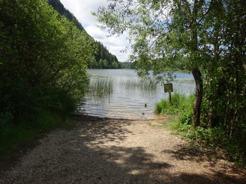 [WEEK-END] Le lac de l'Abbaye (39) (Juin 2020) Dsc02935