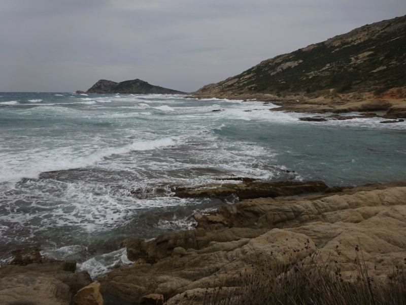  [VOYAGE 01] [FRANCE]  Dix jours dans le Sud (Mars 2022) Dsc05875