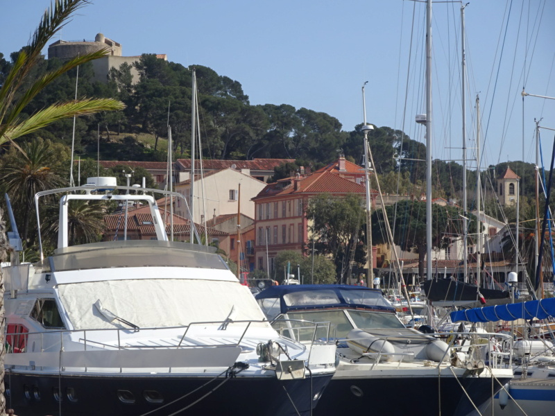  [VOYAGE 01] [FRANCE]  Dix jours dans le Sud (Mars 2022) Dsc06077