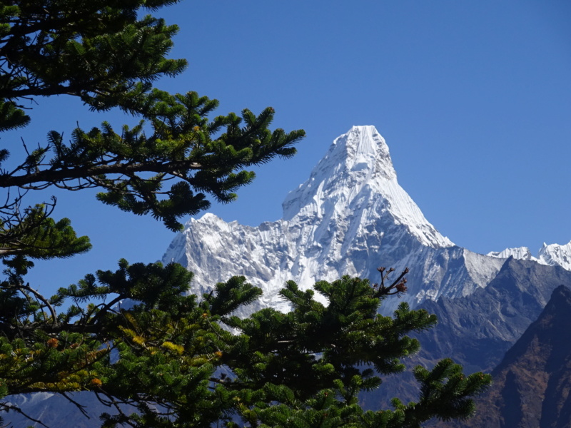 [TREK] Le Solokhumbu, tutoyer l'Everest! (Oct 2019) - Page 2 Dsc06436