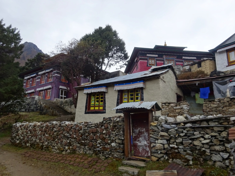 [TREK] Le Solokhumbu, tutoyer l'Everest! (Oct 2019) - Page 4 Dsc07339