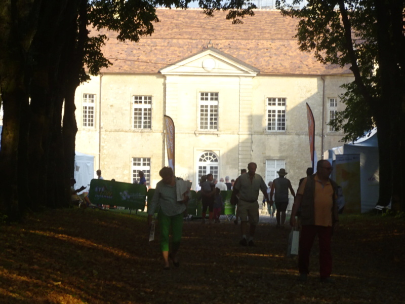 [WEEK-END] Antiquités, concert & visite du château de Ray/Saône (70) (Août 2022) Dsc08527