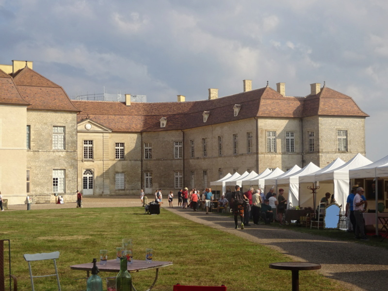 [WEEK-END] Antiquités, concert & visite du château de Ray/Saône (70) (Août 2022) Dsc08528