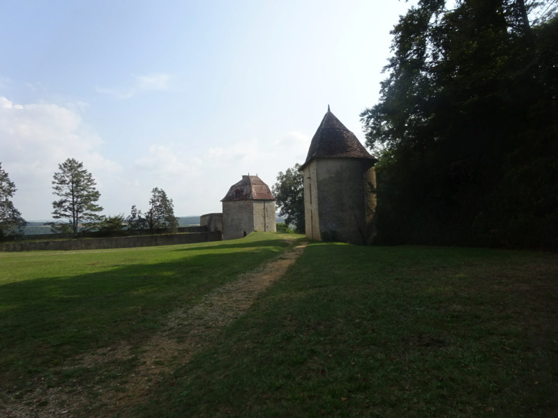 [WEEK-END] Antiquités, concert & visite du château de Ray/Saône (70) (Août 2022) Dsc08538