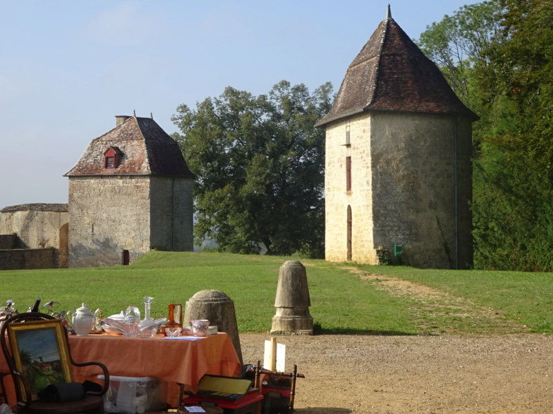 [WEEK-END] Antiquités, concert & visite du château de Ray/Saône (70) (Août 2022) Dsc08615