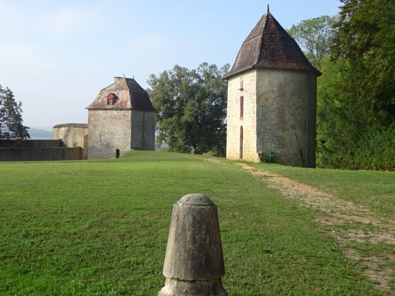 [WEEK-END] Antiquités, concert & visite du château de Ray/Saône (70) (Août 2022) Dsc08619