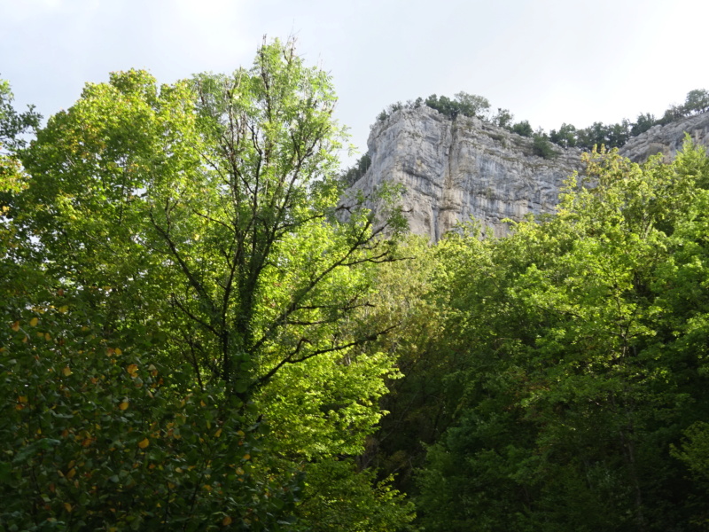 [WEEK-END] Vallée de la Loue-Mouthier Haute Pierre (25) (Sept 2020) Dsc08825