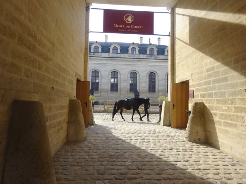 [Voyage 27] [FRANCE] Paris-Chantilly & Côte Normande (Oct 2021) Dsc09633