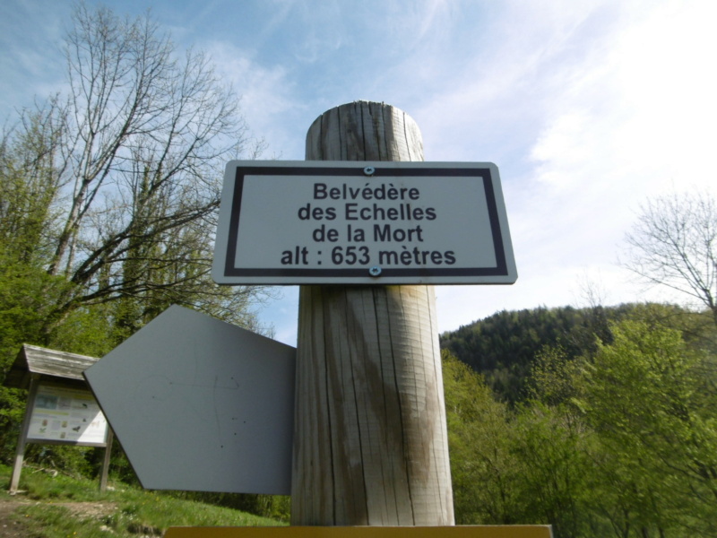 [WEEK-END] Saut du Doubs-Echelles de la Mort-Orsans (25) (Mai 2021) P1000927