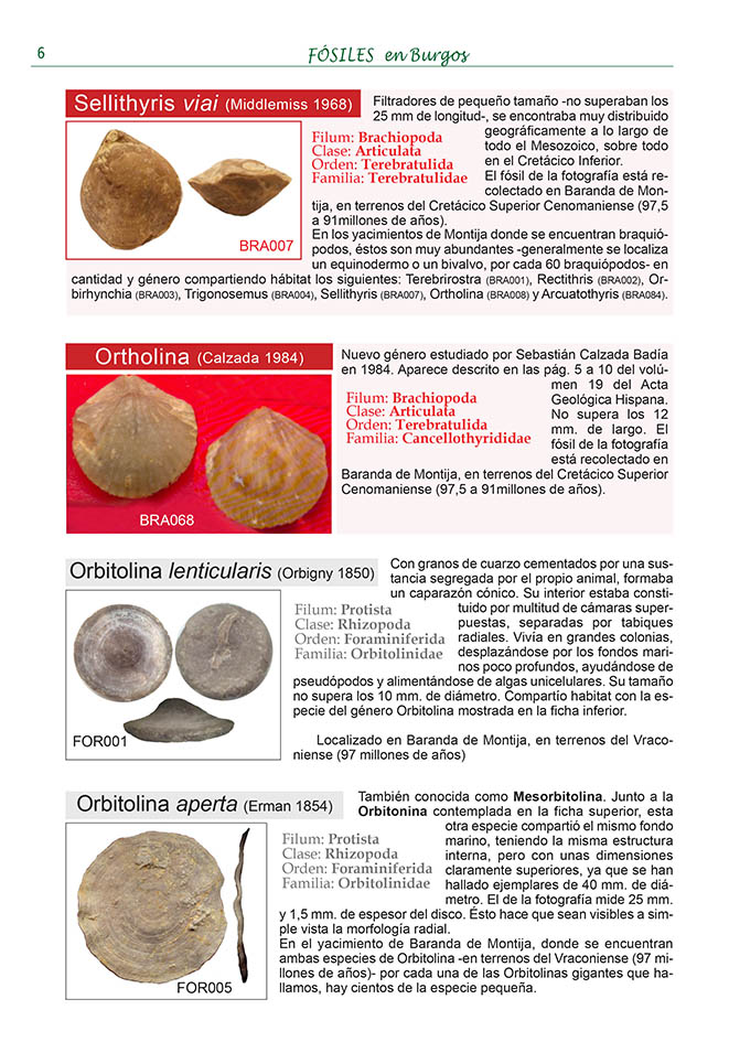 Exposición y charla sobre Fósiles de Burgos  0610