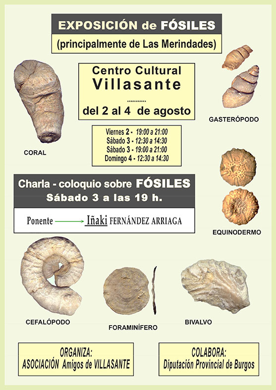 Exposición y charla sobre Fósiles de Burgos  Cartel12
